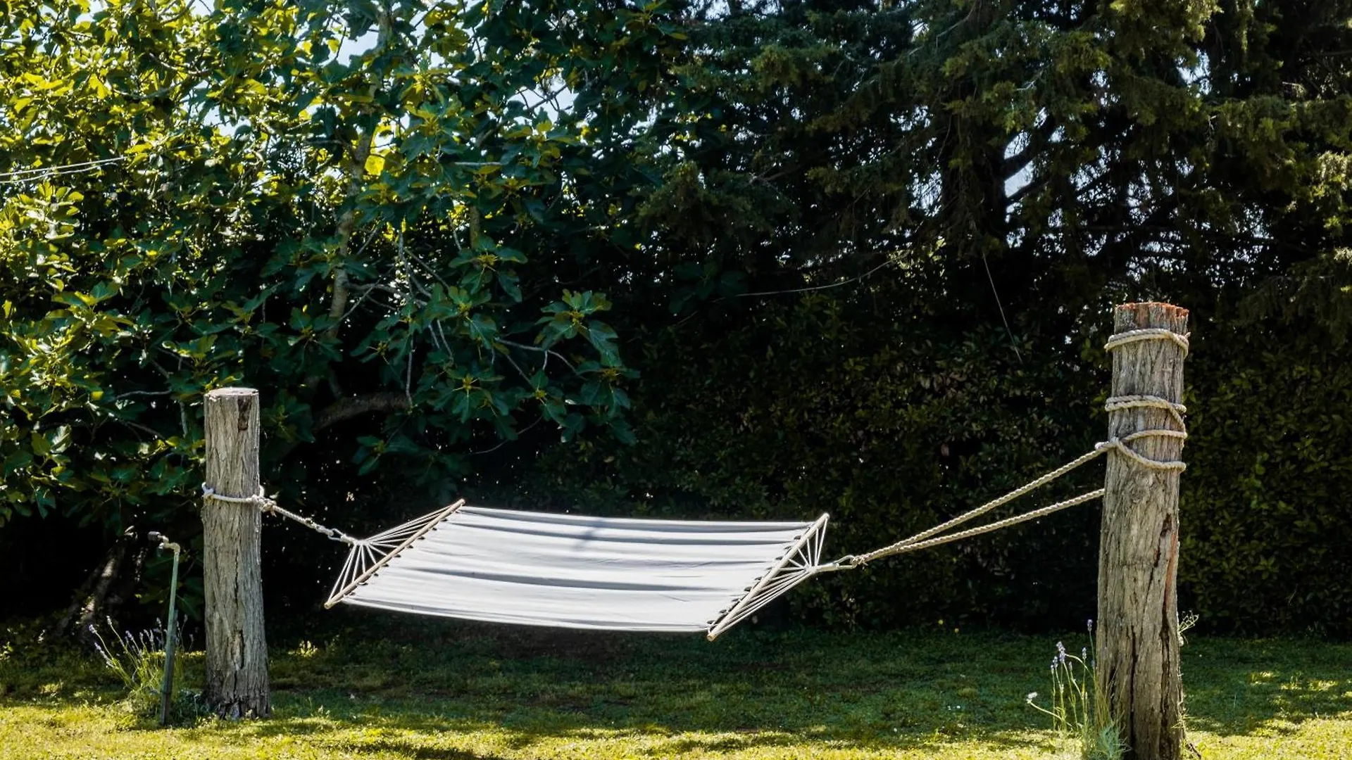 Casenuove II - Casale Con Parco E Piscina Castiglioncello Italy